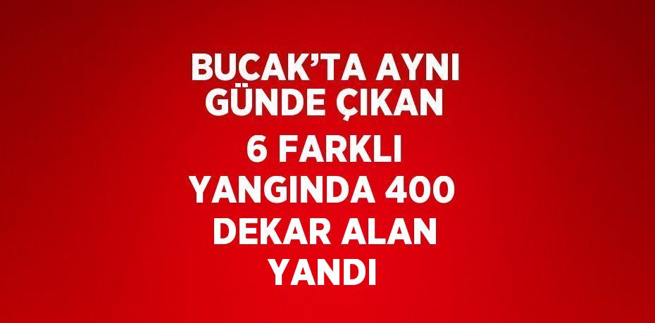 BUCAK’TA AYNI GÜNDE ÇIKAN 6 FARKLI YANGINDA 400 DEKAR ALAN YANDI