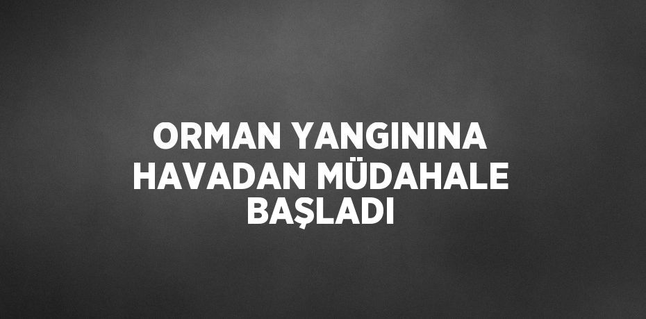 ORMAN YANGININA HAVADAN MÜDAHALE BAŞLADI