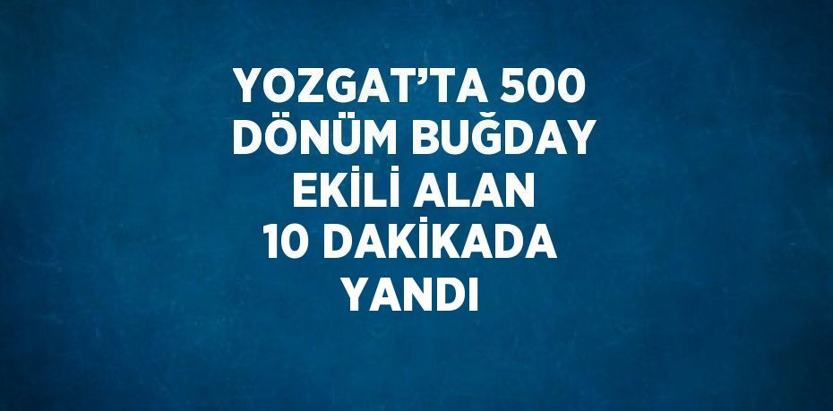 YOZGAT’TA 500 DÖNÜM BUĞDAY EKİLİ ALAN 10 DAKİKADA YANDI