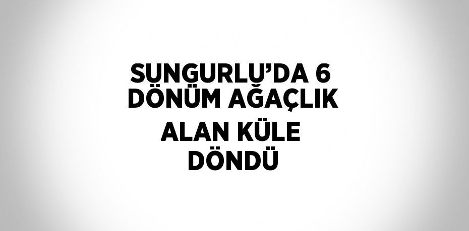 SUNGURLU’DA 6 DÖNÜM AĞAÇLIK ALAN KÜLE DÖNDÜ