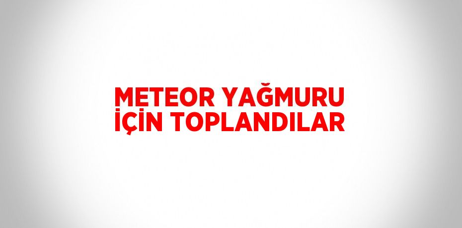 METEOR YAĞMURU İÇİN TOPLANDILAR