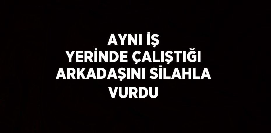 AYNI İŞ YERİNDE ÇALIŞTIĞI ARKADAŞINI SİLAHLA VURDU