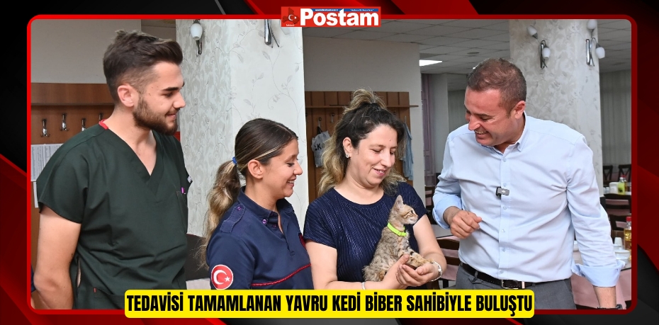 Tedavisi tamamlanan yavru kedi Biber sahibiyle buluştu