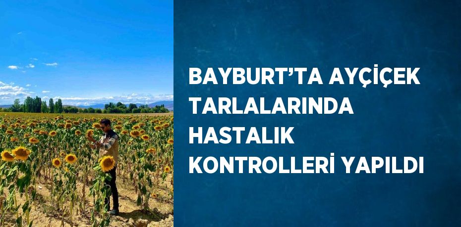 BAYBURT’TA AYÇİÇEK TARLALARINDA HASTALIK KONTROLLERİ YAPILDI