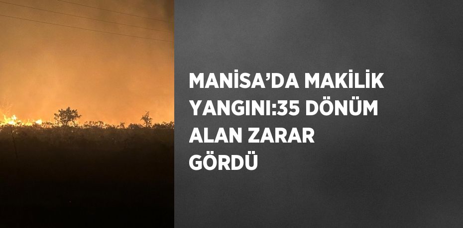 MANİSA’DA MAKİLİK YANGINI:35 DÖNÜM ALAN ZARAR GÖRDÜ