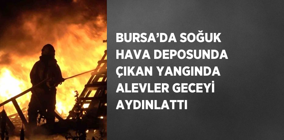 BURSA’DA SOĞUK HAVA DEPOSUNDA ÇIKAN YANGINDA ALEVLER GECEYİ AYDINLATTI