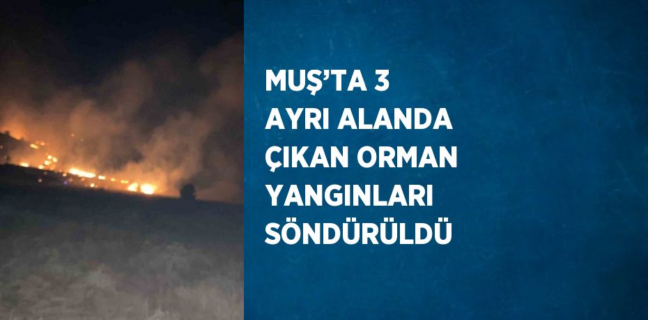 MUŞ’TA 3 AYRI ALANDA ÇIKAN ORMAN YANGINLARI SÖNDÜRÜLDÜ