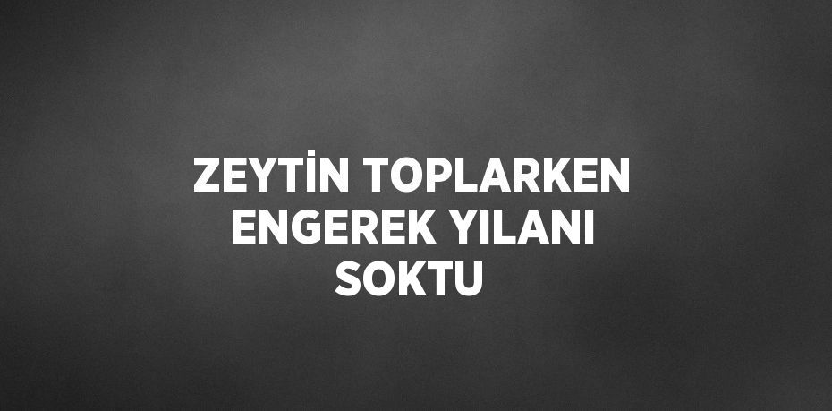 ZEYTİN TOPLARKEN ENGEREK YILANI SOKTU