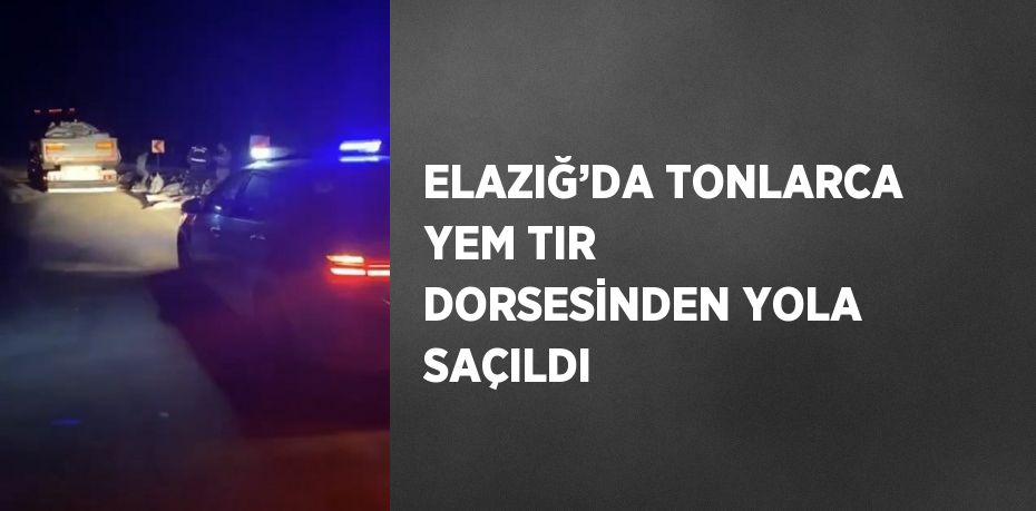 ELAZIĞ’DA TONLARCA YEM TIR DORSESİNDEN YOLA SAÇILDI