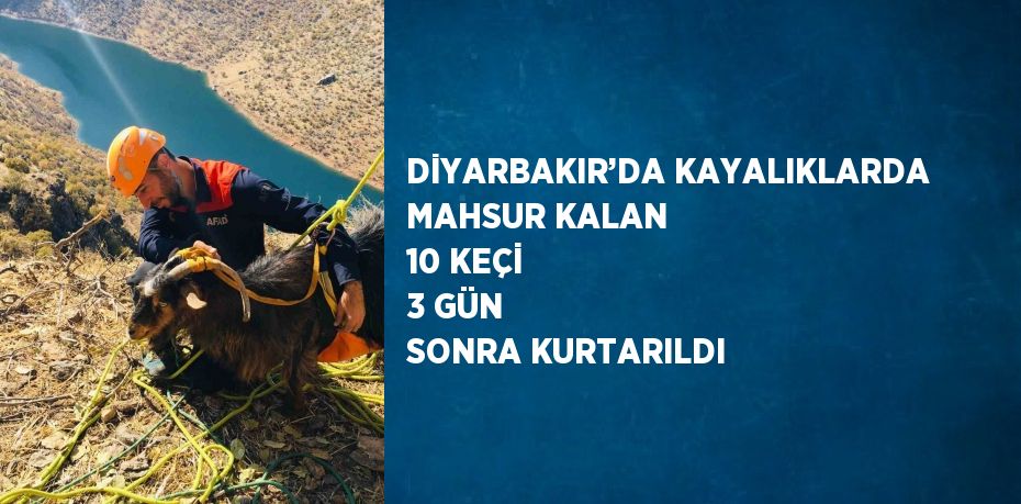 DİYARBAKIR’DA KAYALIKLARDA MAHSUR KALAN 10 KEÇİ 3 GÜN SONRA KURTARILDI