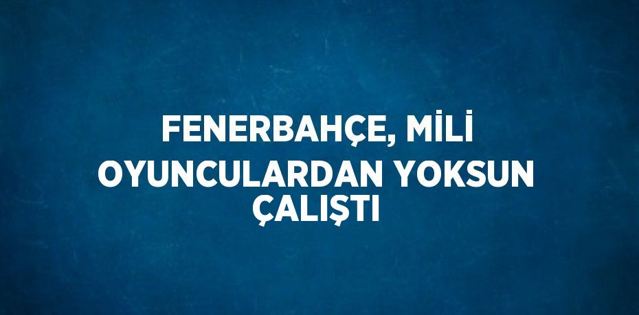 FENERBAHÇE, MİLİ OYUNCULARDAN YOKSUN ÇALIŞTI