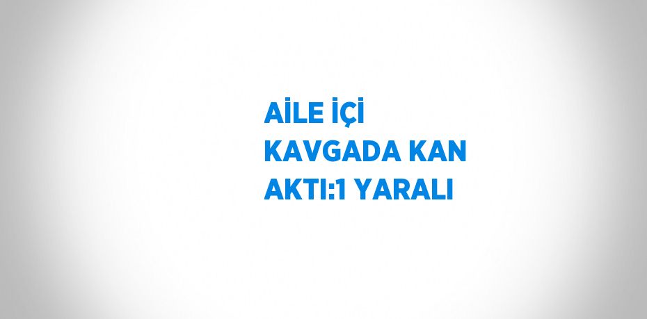 AİLE İÇİ KAVGADA KAN AKTI:1 YARALI