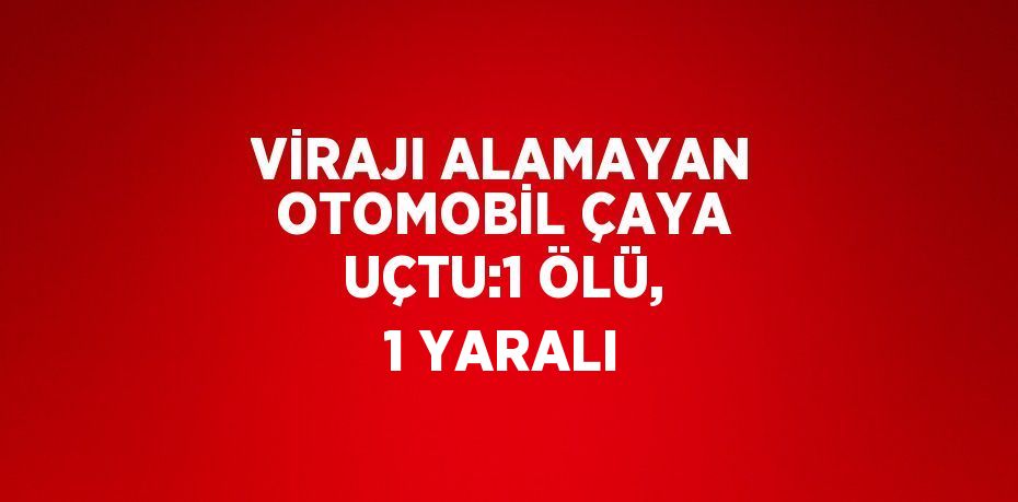 VİRAJI ALAMAYAN OTOMOBİL ÇAYA UÇTU:1 ÖLÜ, 1 YARALI