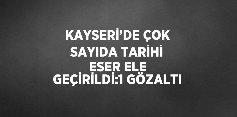 KAYSERİ’DE ÇOK SAYIDA TARİHİ ESER ELE GEÇİRİLDİ:1 GÖZALTI