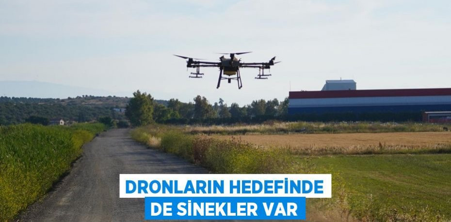 DRONLARIN HEDEFİNDE DE SİNEKLER VAR