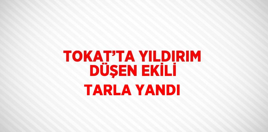 TOKAT’TA YILDIRIM DÜŞEN EKİLİ TARLA YANDI