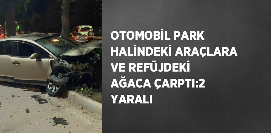 OTOMOBİL PARK HALİNDEKİ ARAÇLARA VE REFÜJDEKİ AĞACA ÇARPTI:2 YARALI