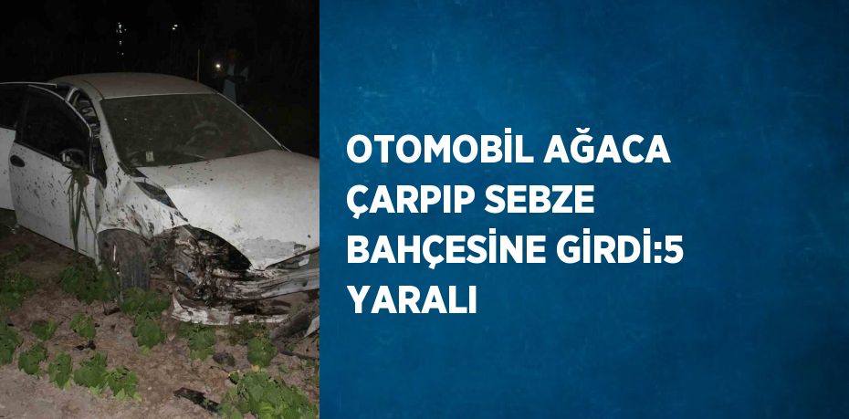 OTOMOBİL AĞACA ÇARPIP SEBZE BAHÇESİNE GİRDİ:5 YARALI