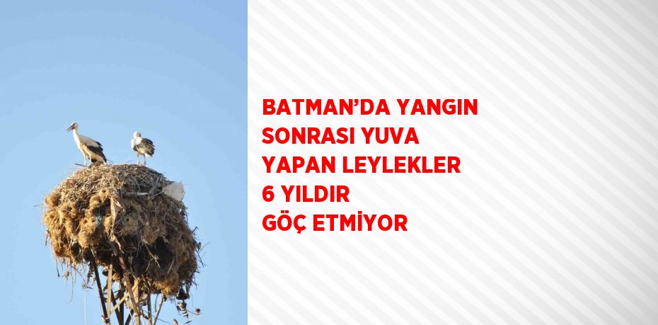 BATMAN’DA YANGIN SONRASI YUVA YAPAN LEYLEKLER 6 YILDIR GÖÇ ETMİYOR