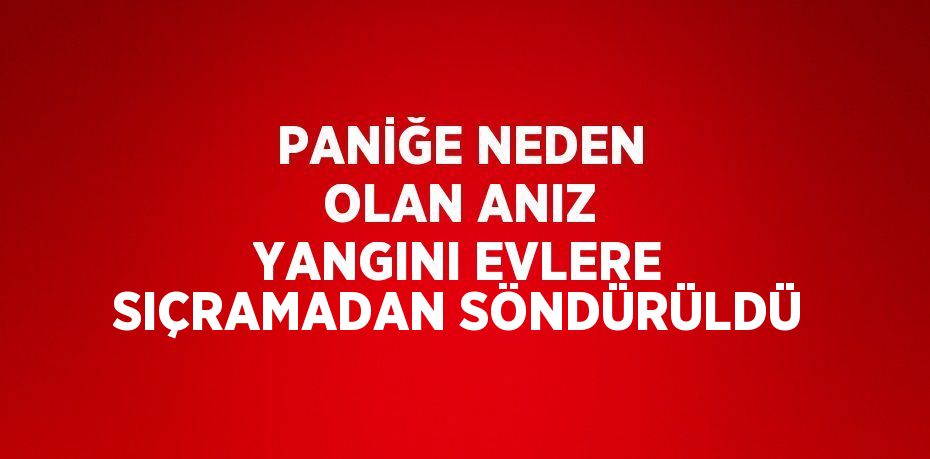 PANİĞE NEDEN OLAN ANIZ YANGINI EVLERE SIÇRAMADAN SÖNDÜRÜLDÜ