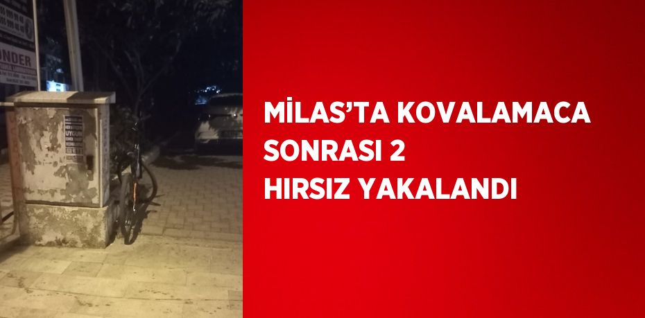 MİLAS’TA KOVALAMACA SONRASI 2 HIRSIZ YAKALANDI