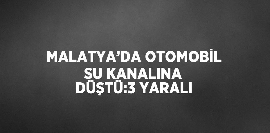 MALATYA’DA OTOMOBİL SU KANALINA DÜŞTÜ:3 YARALI