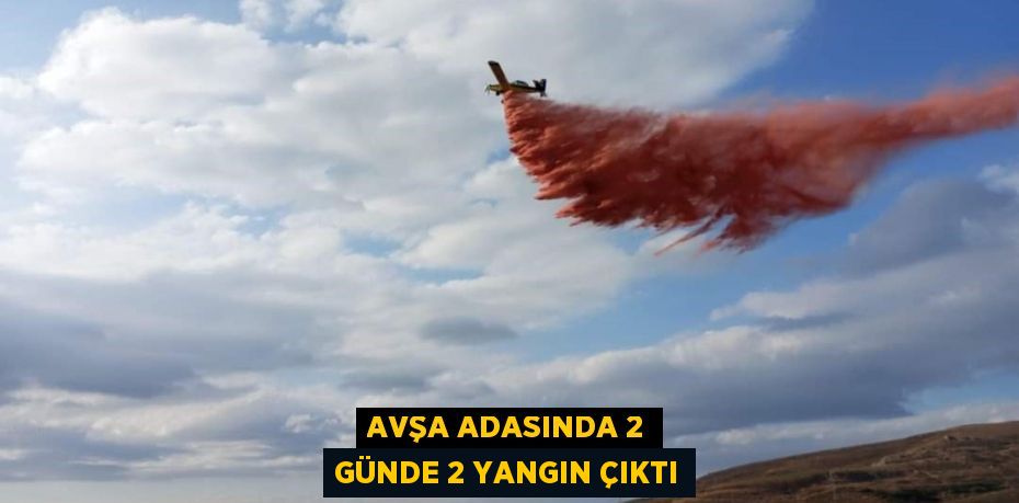 Avşa Adasında 2 günde 2 yangın çıktı