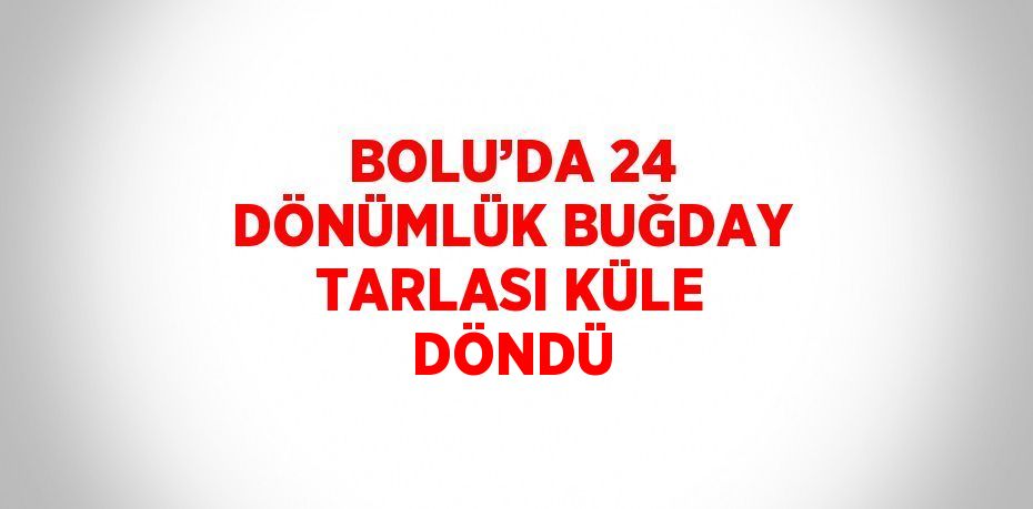 BOLU’DA 24 DÖNÜMLÜK BUĞDAY TARLASI KÜLE DÖNDÜ