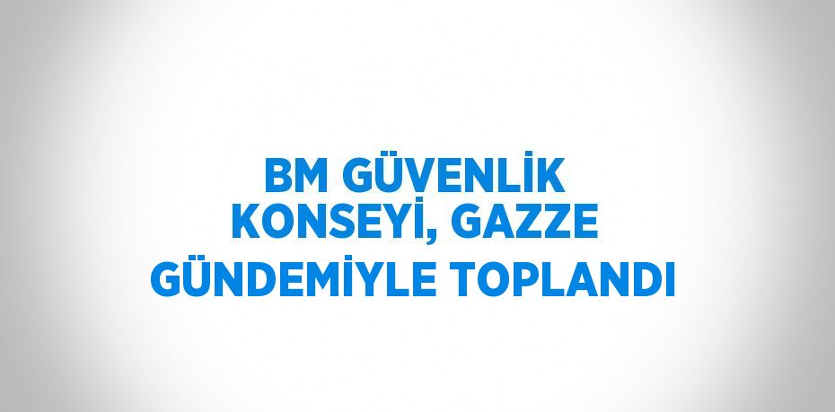 BM GÜVENLİK KONSEYİ, GAZZE GÜNDEMİYLE TOPLANDI