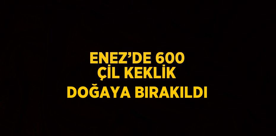 ENEZ’DE 600 ÇİL KEKLİK DOĞAYA BIRAKILDI