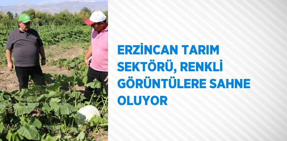 ERZİNCAN TARIM SEKTÖRÜ, RENKLİ GÖRÜNTÜLERE SAHNE OLUYOR