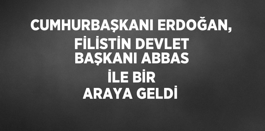 CUMHURBAŞKANI ERDOĞAN, FİLİSTİN DEVLET BAŞKANI ABBAS İLE BİR ARAYA GELDİ