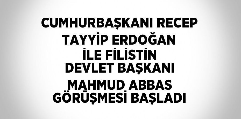 CUMHURBAŞKANI RECEP TAYYİP ERDOĞAN İLE FİLİSTİN DEVLET BAŞKANI MAHMUD ABBAS GÖRÜŞMESİ BAŞLADI