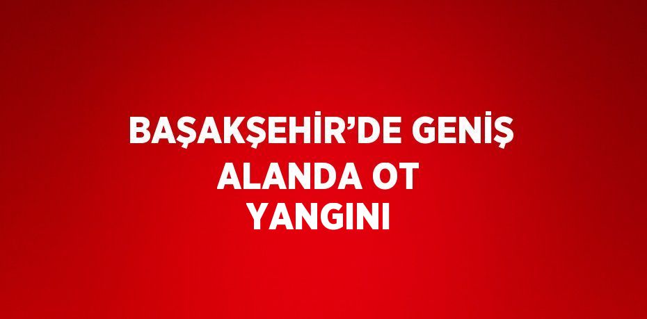 BAŞAKŞEHİR’DE GENİŞ ALANDA OT YANGINI