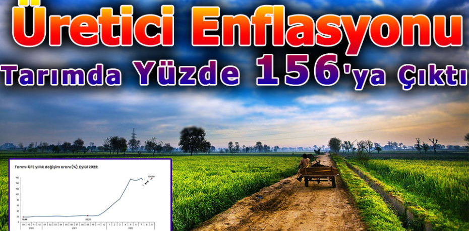 Üretici Enflasyonu Tarımda Yüzde 156'ya Çıktı