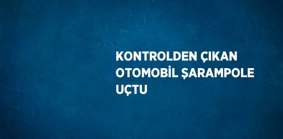 KONTROLDEN ÇIKAN OTOMOBİL ŞARAMPOLE UÇTU