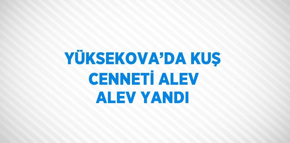 YÜKSEKOVA’DA KUŞ CENNETİ ALEV ALEV YANDI