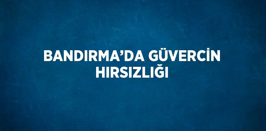 BANDIRMA’DA GÜVERCİN HIRSIZLIĞI