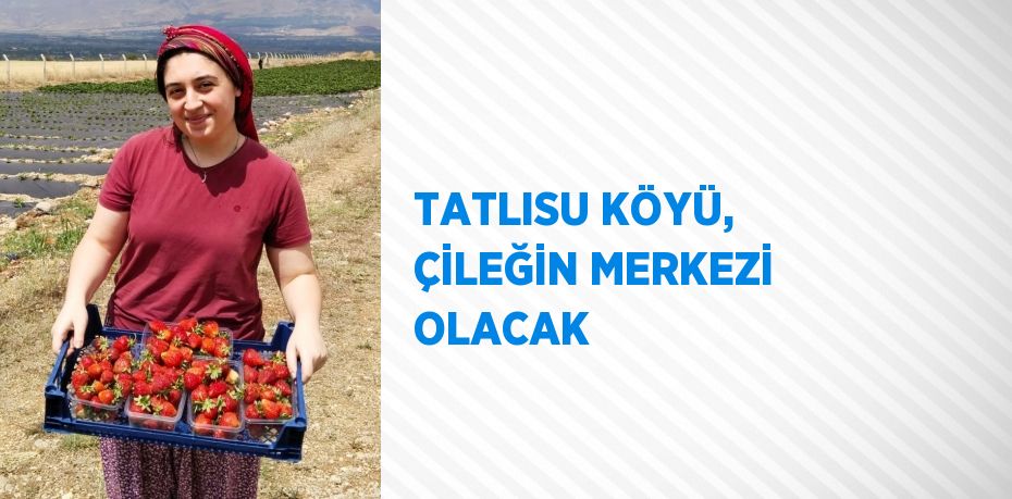 TATLISU KÖYÜ, ÇİLEĞİN MERKEZİ OLACAK