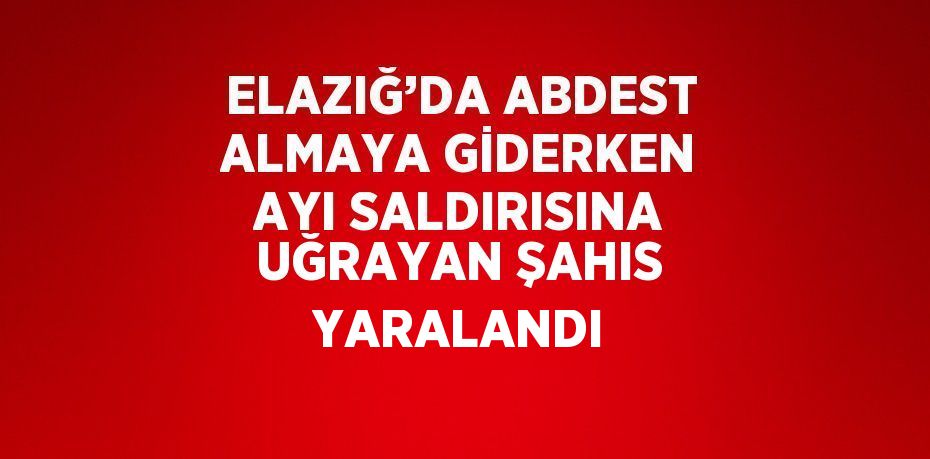 ELAZIĞ’DA ABDEST ALMAYA GİDERKEN AYI SALDIRISINA UĞRAYAN ŞAHIS YARALANDI