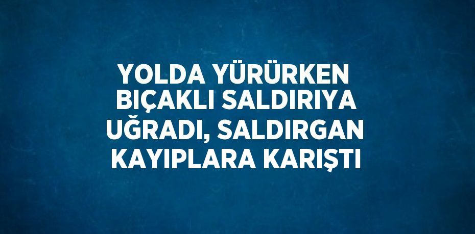 YOLDA YÜRÜRKEN BIÇAKLI SALDIRIYA UĞRADI, SALDIRGAN KAYIPLARA KARIŞTI