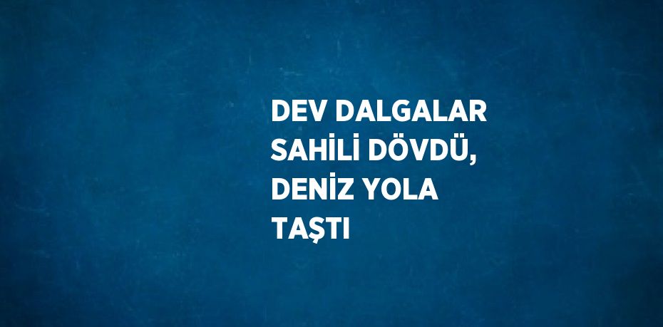 DEV DALGALAR SAHİLİ DÖVDÜ, DENİZ YOLA TAŞTI