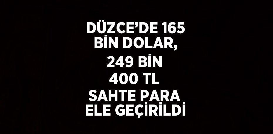 DÜZCE’DE 165 BİN DOLAR, 249 BİN 400 TL SAHTE PARA ELE GEÇİRİLDİ