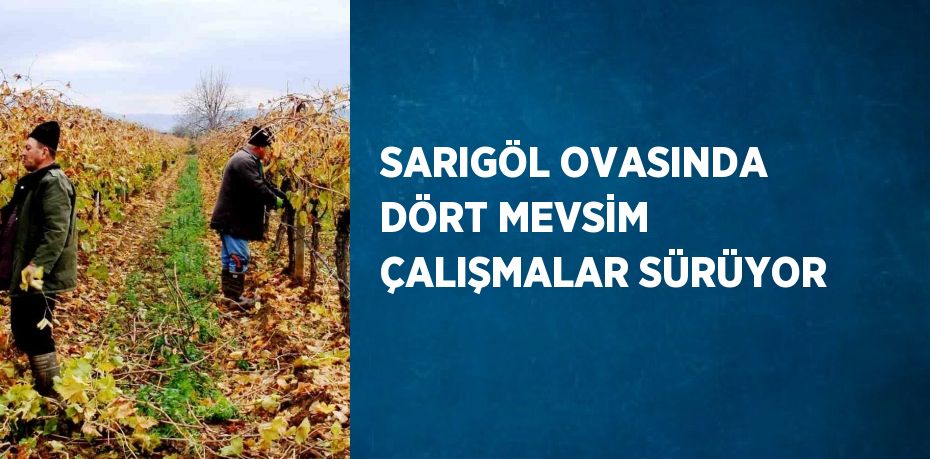 SARIGÖL OVASINDA DÖRT MEVSİM ÇALIŞMALAR SÜRÜYOR