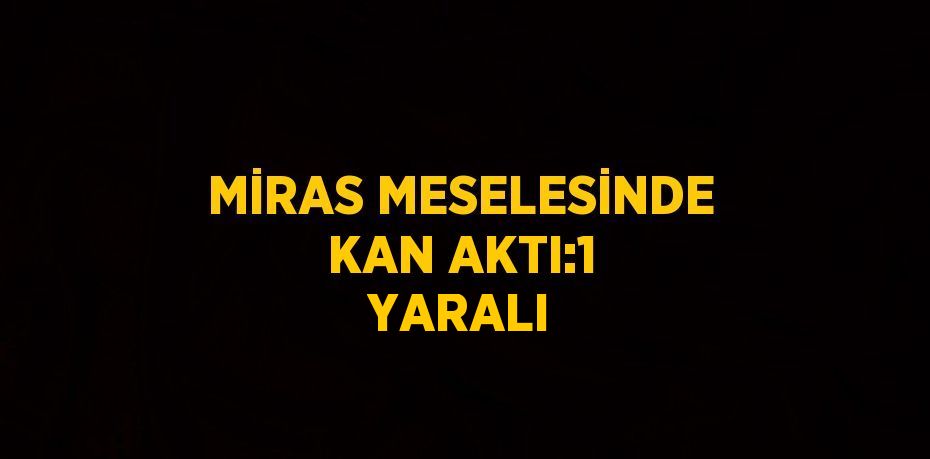 MİRAS MESELESİNDE KAN AKTI:1 YARALI