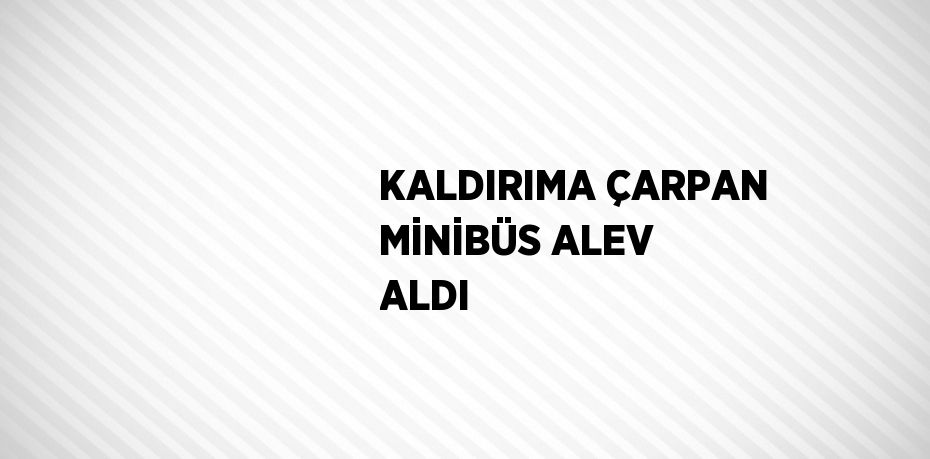 KALDIRIMA ÇARPAN MİNİBÜS ALEV ALDI