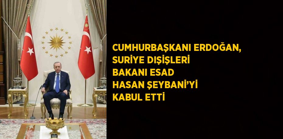 CUMHURBAŞKANI ERDOĞAN, SURİYE DIŞİŞLERİ BAKANI ESAD HASAN ŞEYBANİ’Yİ KABUL ETTİ