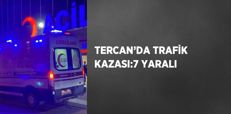 TERCAN’DA TRAFİK KAZASI:7 YARALI