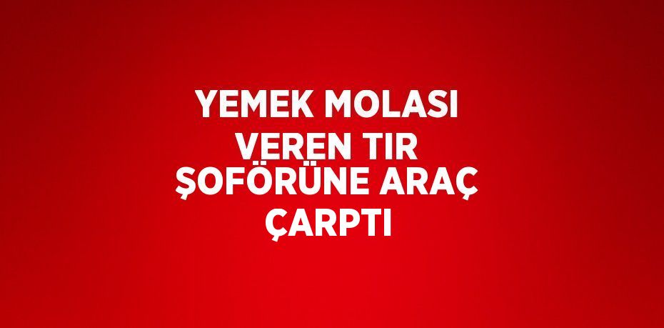 YEMEK MOLASI VEREN TIR ŞOFÖRÜNE ARAÇ ÇARPTI