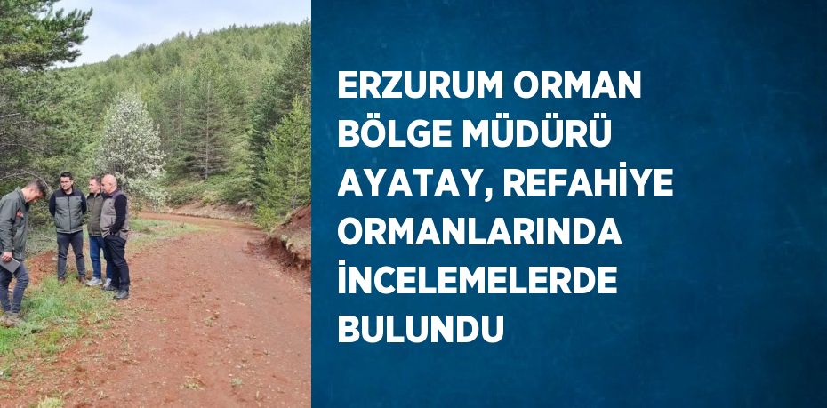 ERZURUM ORMAN BÖLGE MÜDÜRÜ AYATAY, REFAHİYE ORMANLARINDA İNCELEMELERDE BULUNDU